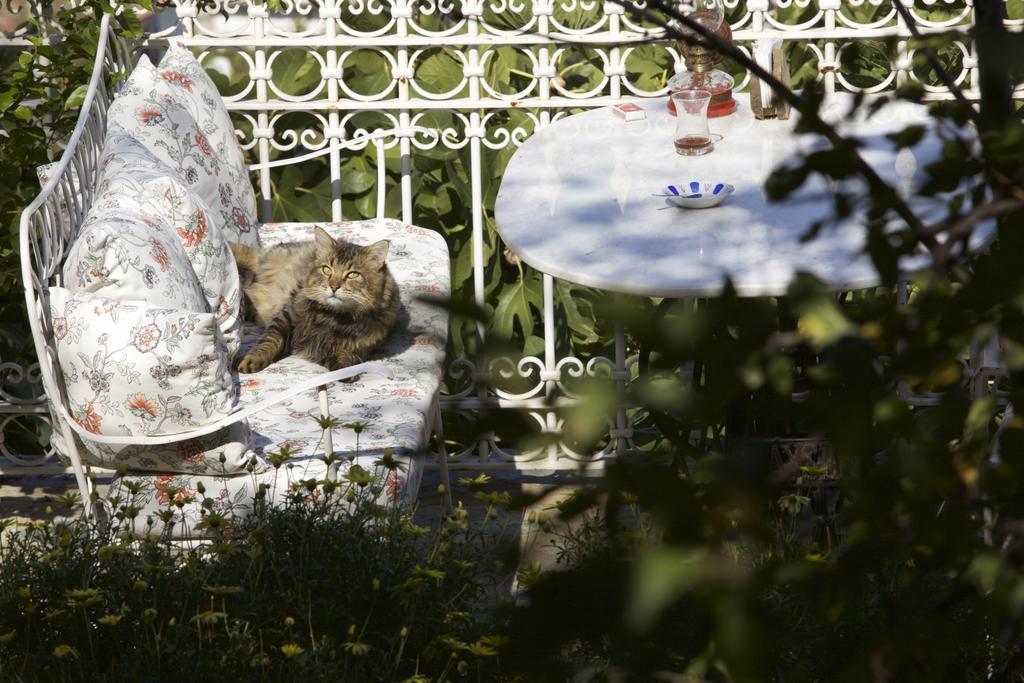 Nisanyan Hotel Selçuk Extérieur photo