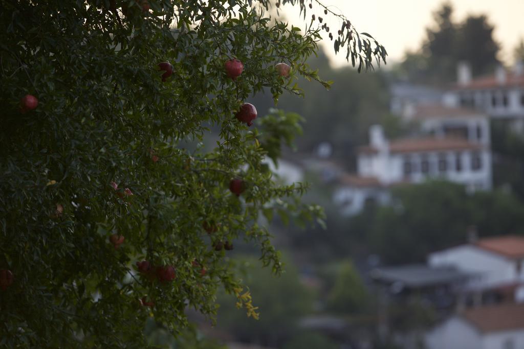 Nisanyan Hotel Selçuk Extérieur photo