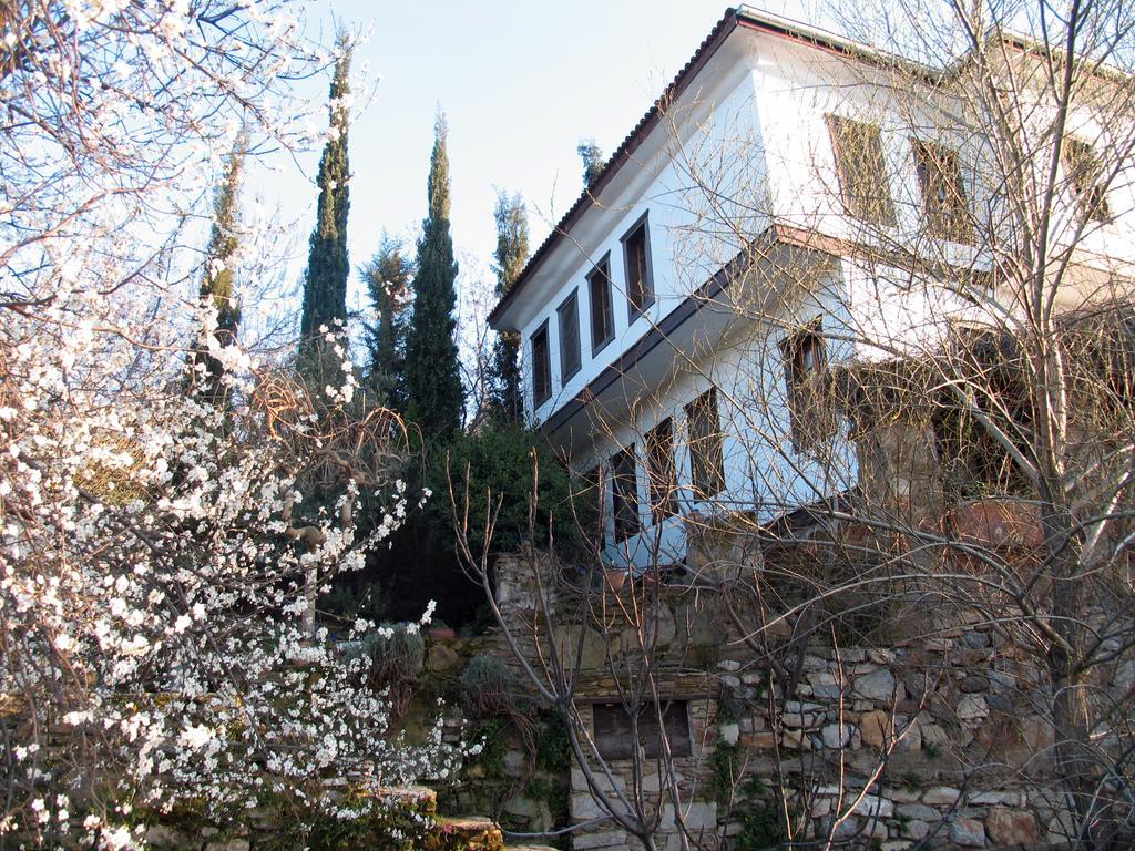 Nisanyan Hotel Selçuk Extérieur photo