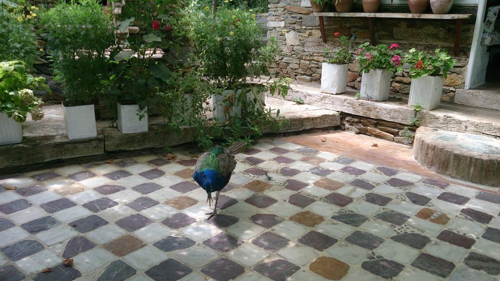 Nisanyan Hotel Selçuk Extérieur photo