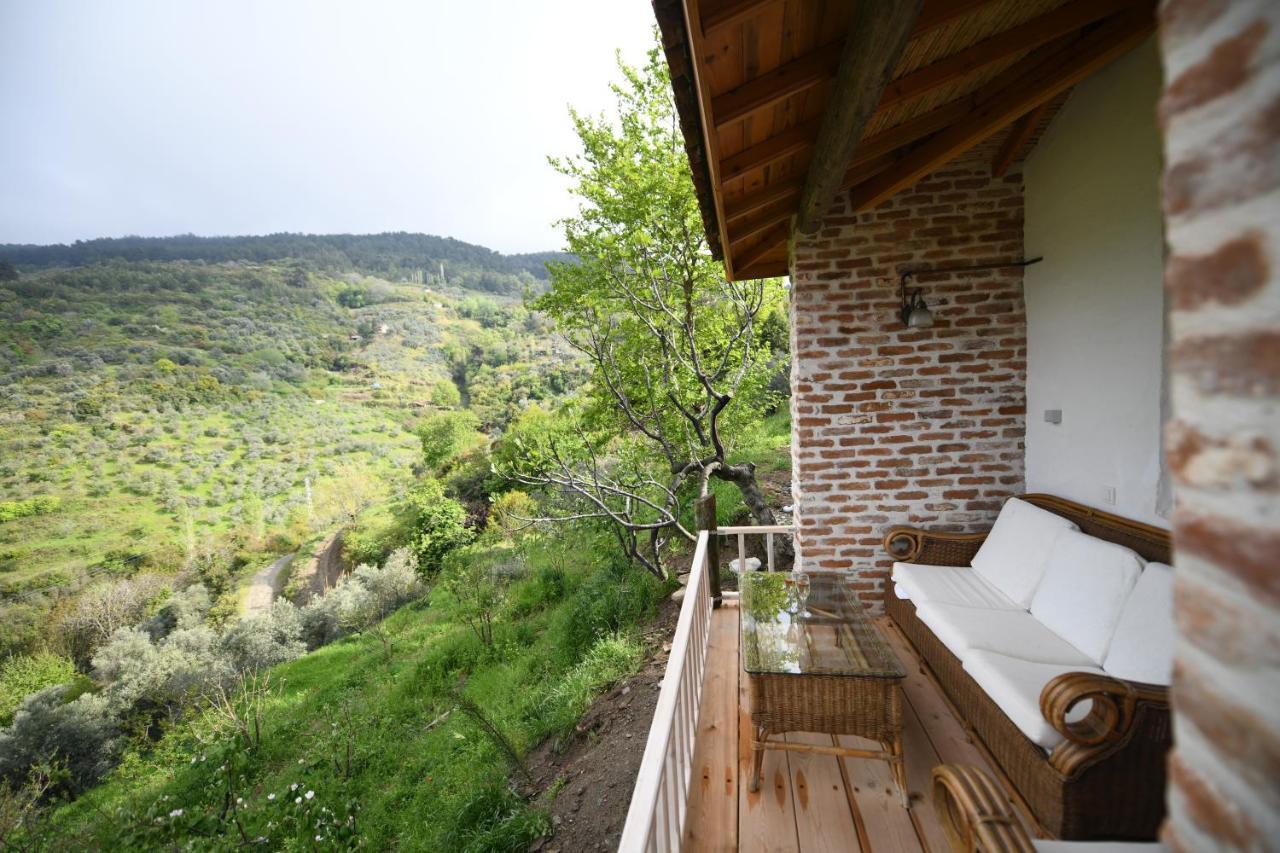 Nisanyan Hotel Selçuk Extérieur photo